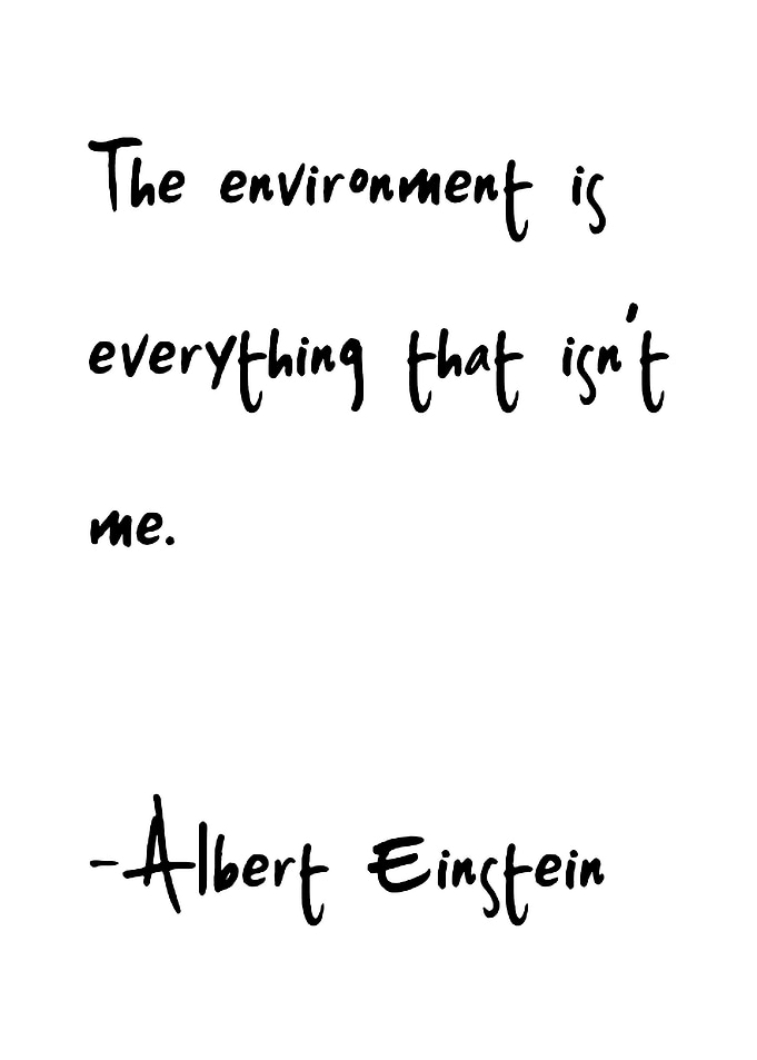 Einstein Quote: The Environment