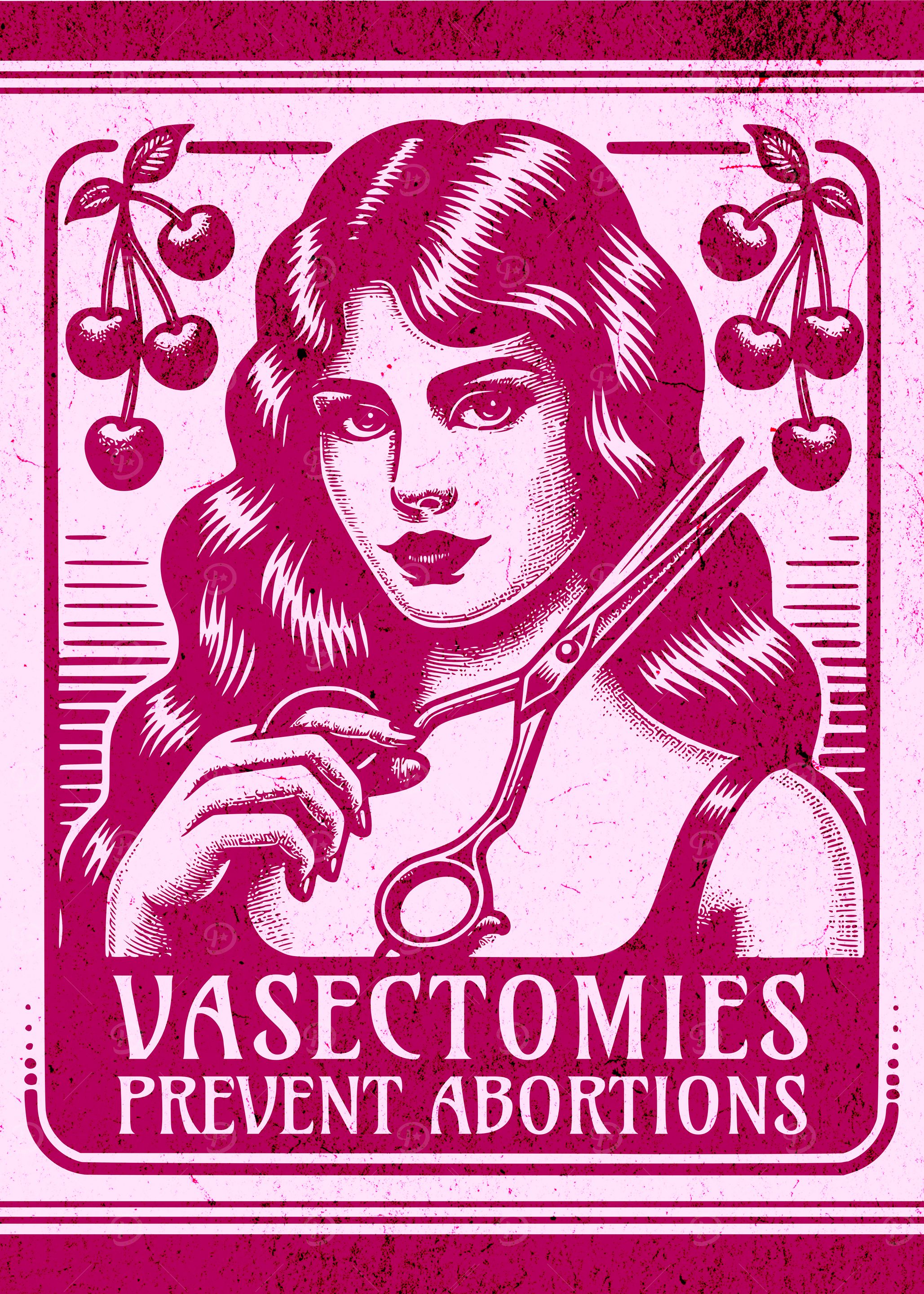 Vasectomies Prevent Abortions Funny Feminist Art