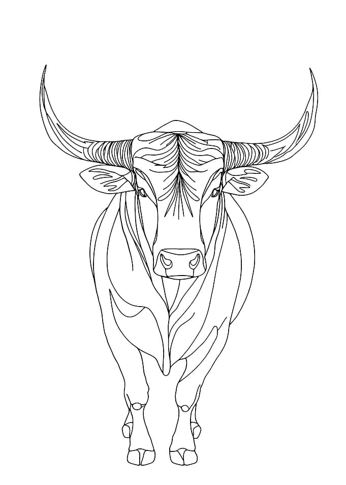 Standing Bull Minimalist Line Art