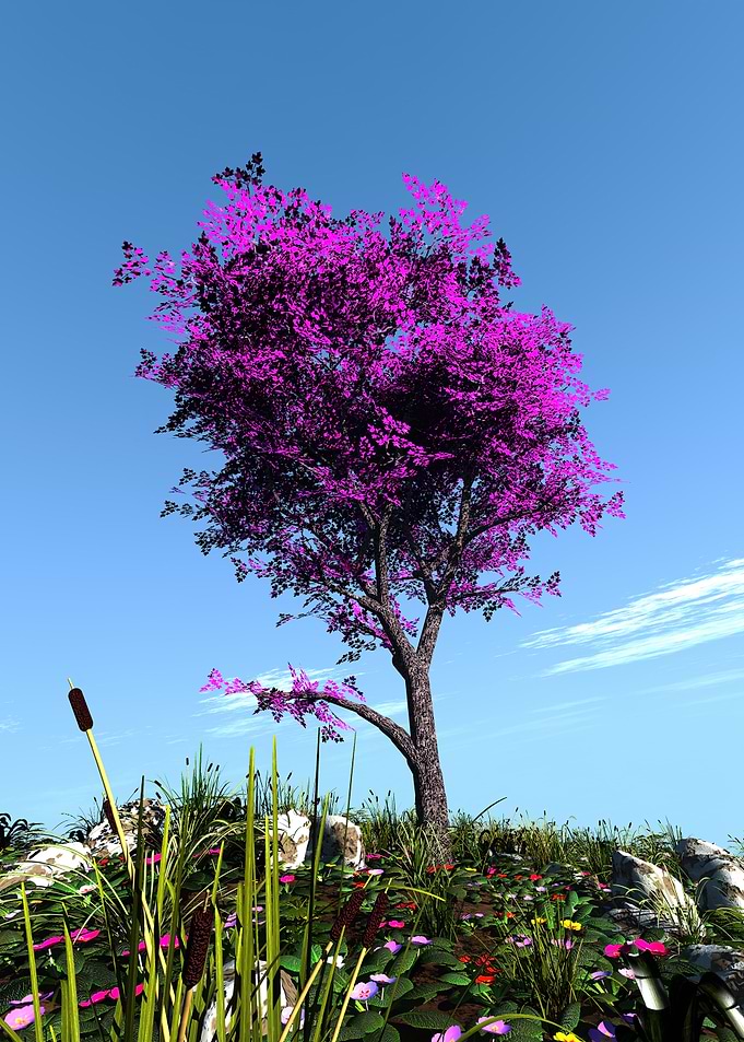 Pink Tree Landscape