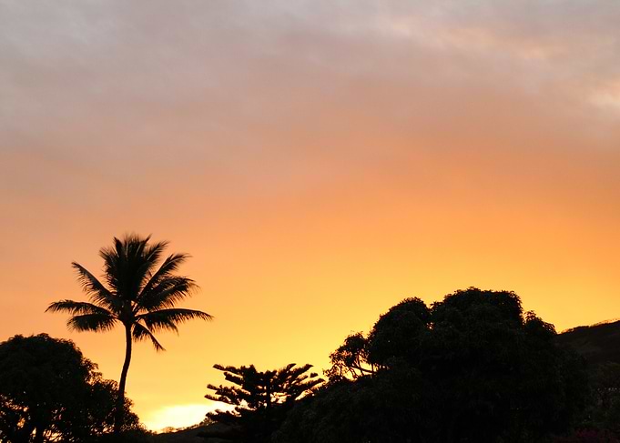 Hawaii Sunset Silhouette