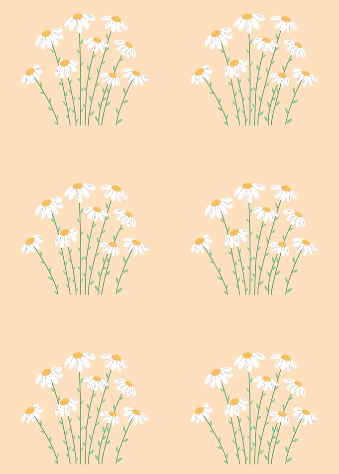 Daisy Flower Pattern on Peach Background