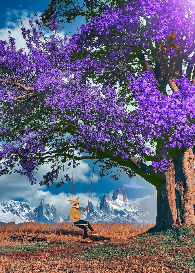 Fox on a swing under purple tree