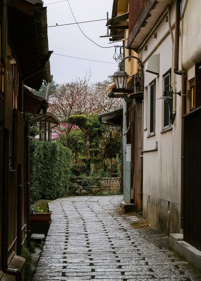 Japanese Alleyway with Cherry Blossoms