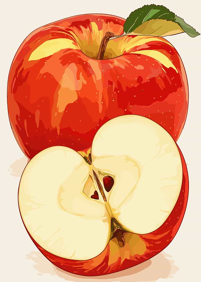 Red Apple and Apple Slice Illustration