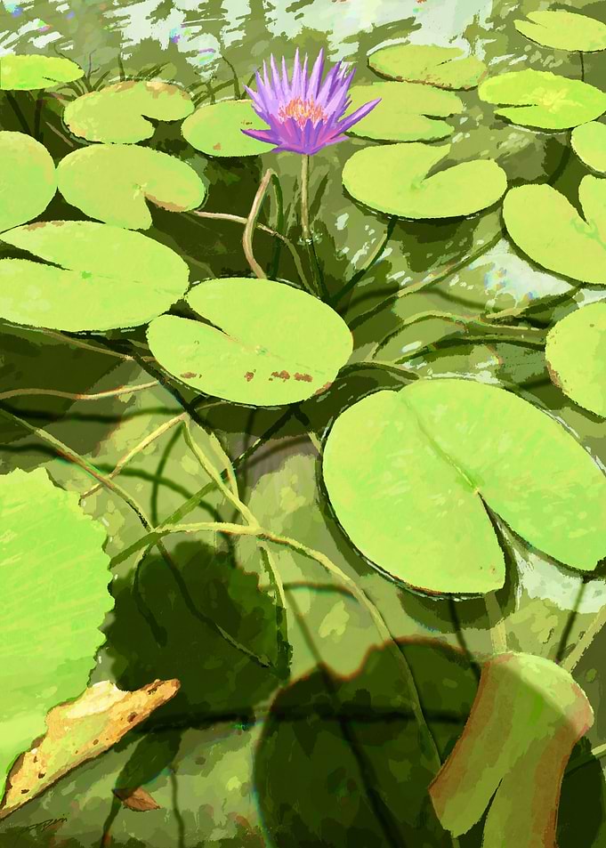 Water Lily Pond with Purple Flower