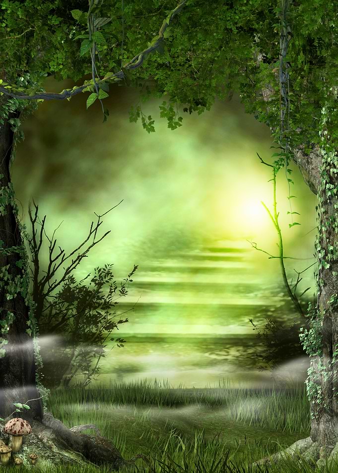 Enchanted Forest Stairway