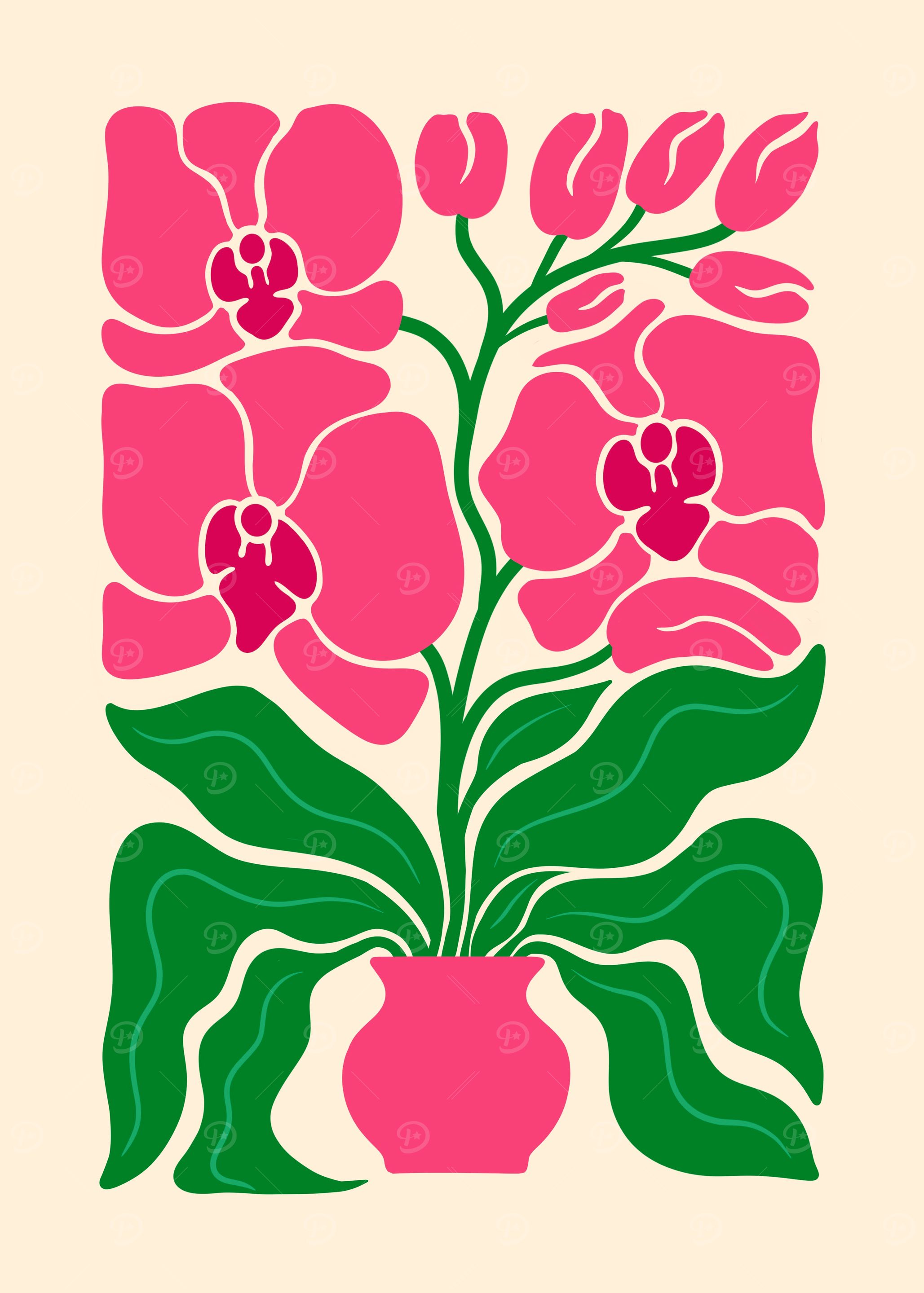 Pink Orchid Plant in Vase Illustration