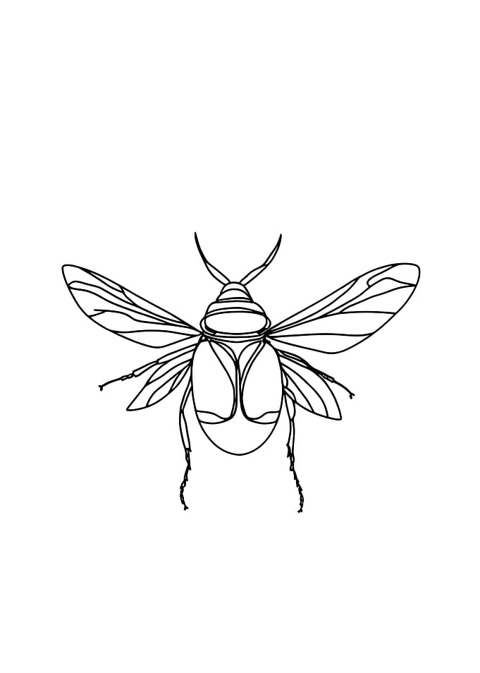 Minimalist Line Art of a Beetle