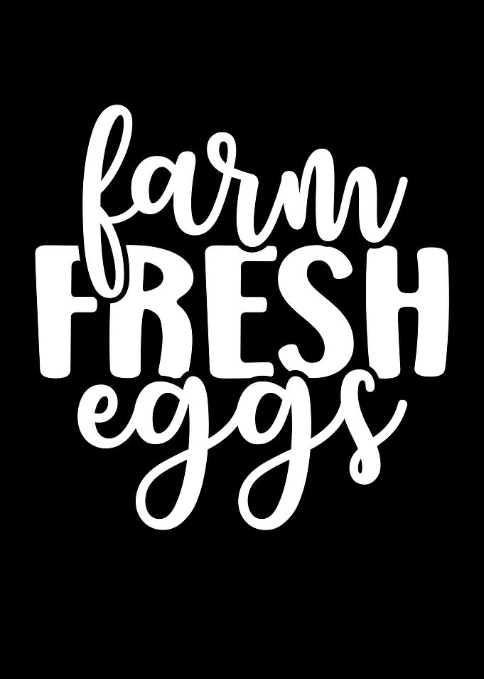 Farm Fresh Eggs Typography Art