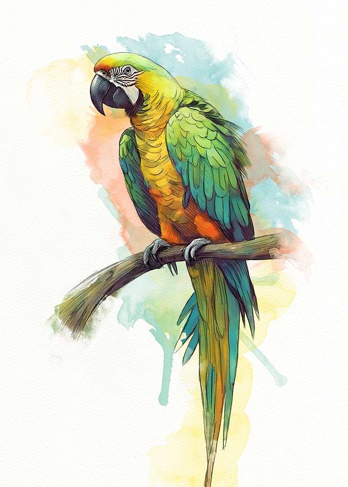 Watercolor Parrot on Branch Illustration