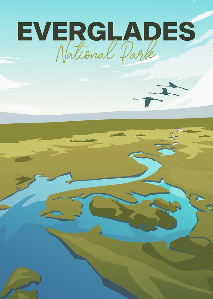 Everglades National Park Illustration
