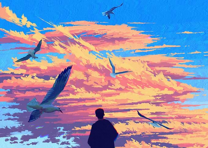Man watching seagulls at sunset
