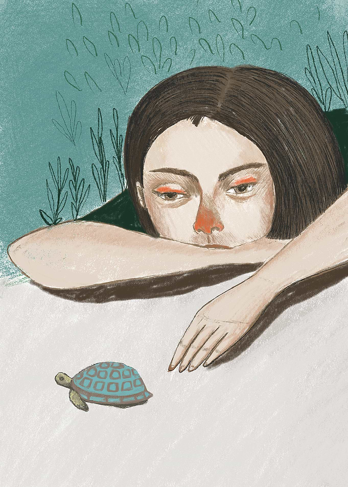 Hello, Turtle