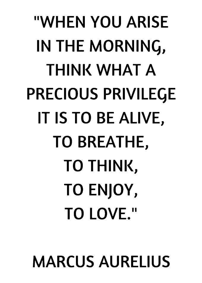 Marcus Aurelius Quote on White