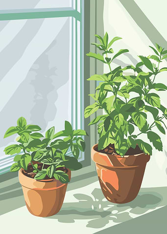 Potted Plants by the Window