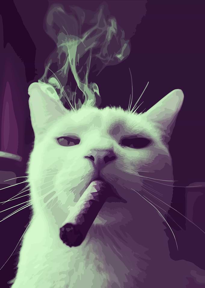 Cat Smoking Cigar