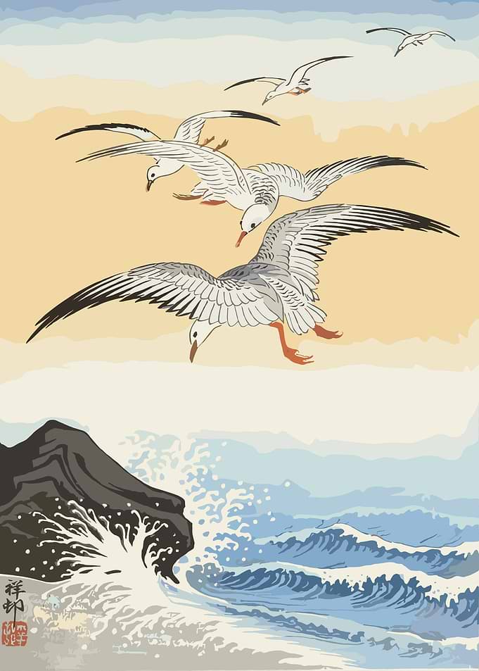 Seagulls Flying Over Ocean Waves