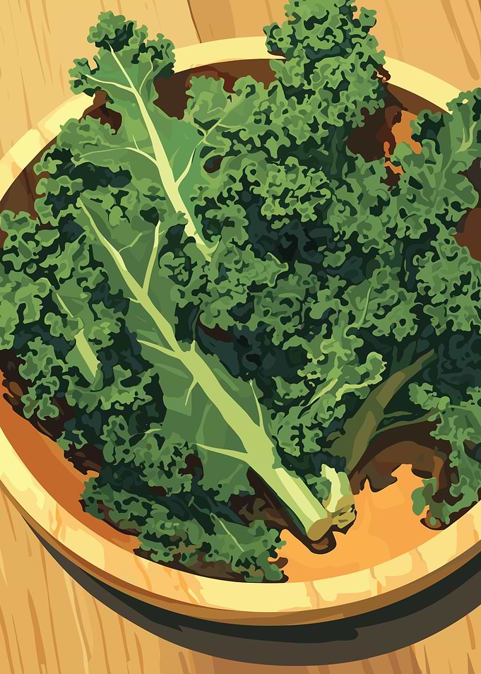 Bowl of Fresh Green Kale