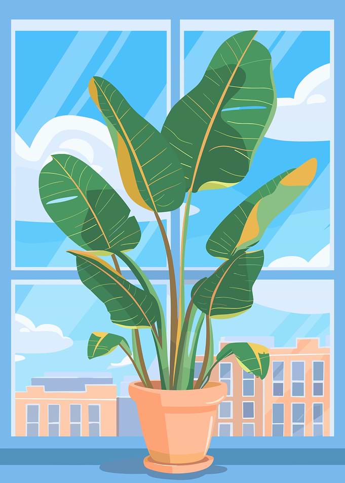 Indoor Plant by the Window Illustration
