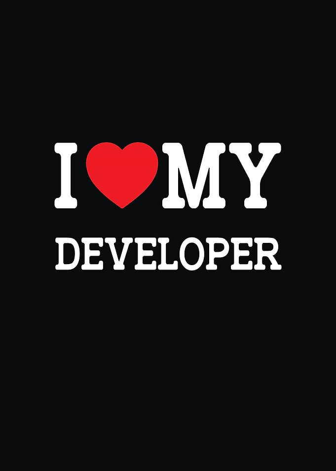 I Love My Developer Graphic