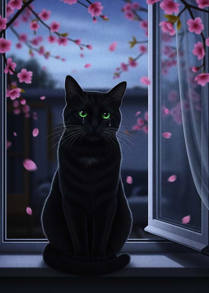 Crying Black Cat by the Window