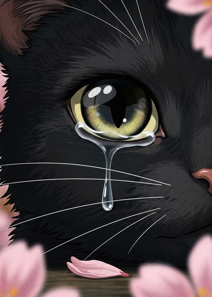 Crying Black Cat with Cherry Blossoms