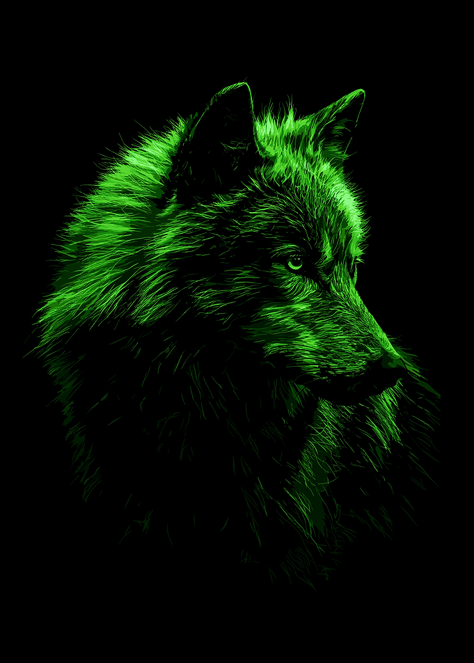 Green Wolf Portrait on Black Background