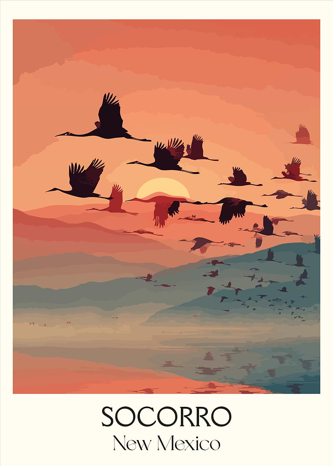 Socorro New Mexico Bird Migration Poster