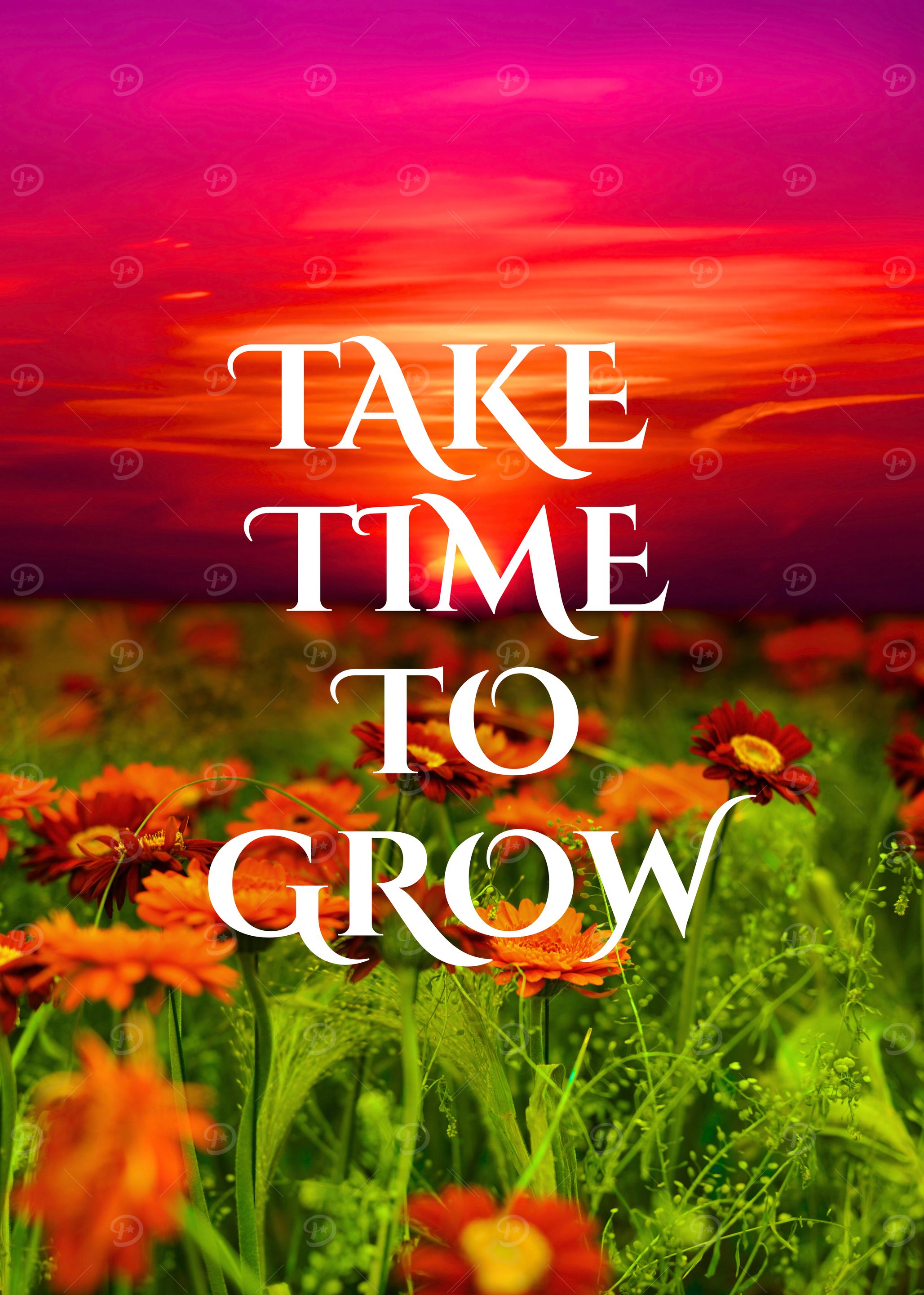 Take Time to Grow