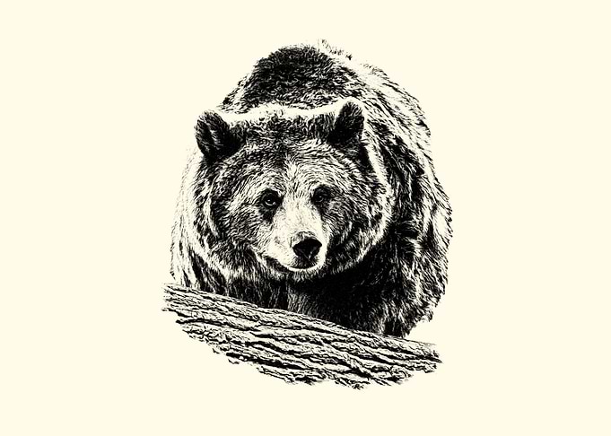 Monochrome Bear Portrait on Beige Background