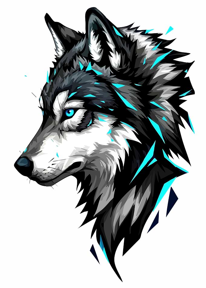 Stylized Wolf Portrait with Cyan Accents