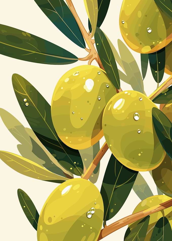 Olive Branch Illustration with Water Droplets