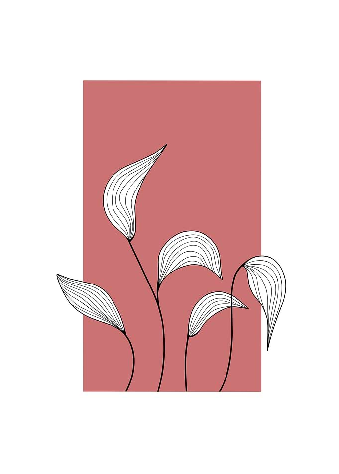 Minimalist Leaves on Terracotta Background