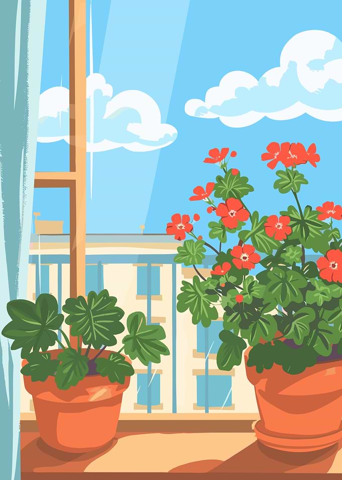 Window View with Potted Flowers