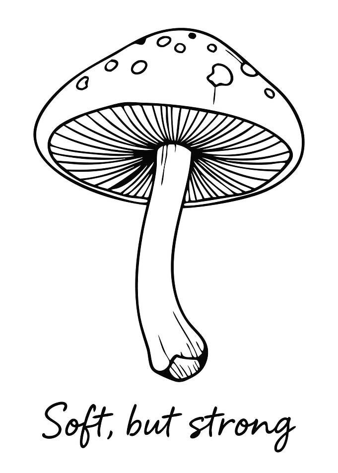 Mushroom Line Art with Text