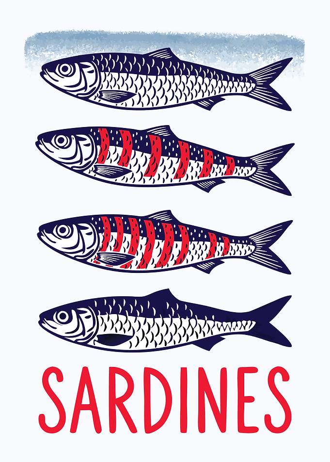 Sardines Illustration with Red and Blue