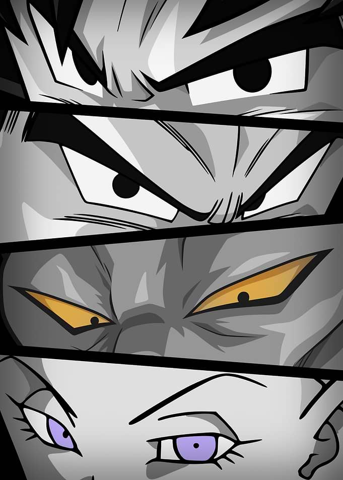 Dragon Ball Super: Goku, Vegeta, Beerus, Whis Eyes Monochrome