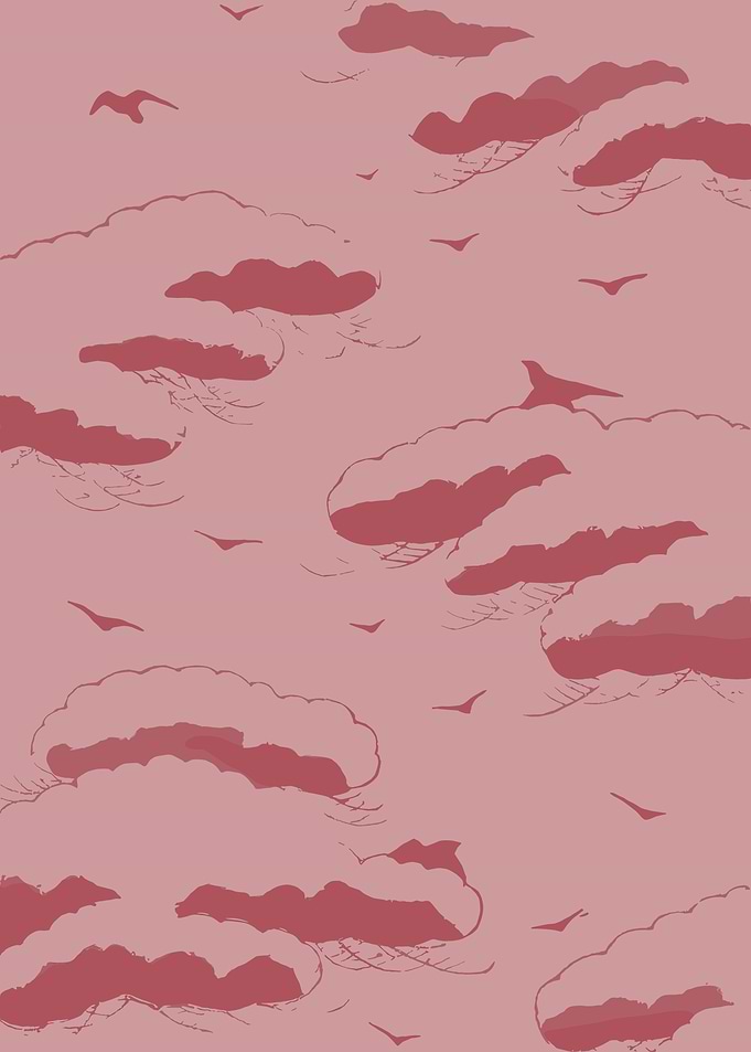 Pink Sky with Clouds and Birds