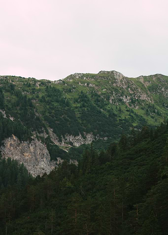 Lush Green Mountain Landscape