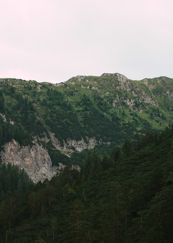Lush Green Mountain Landscape