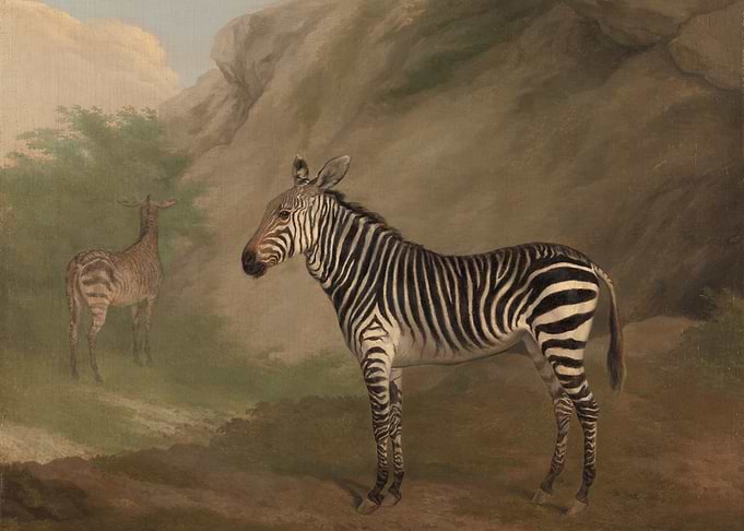 Zebra and Quagga in Landscape Painting