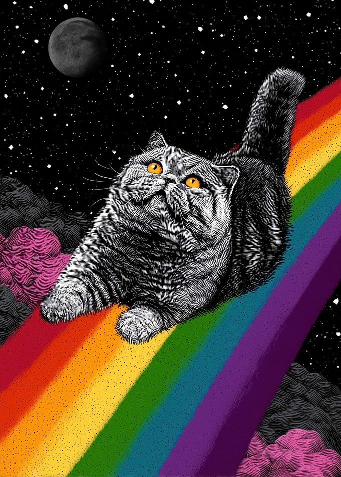 Cat on Rainbow Bridge in Space