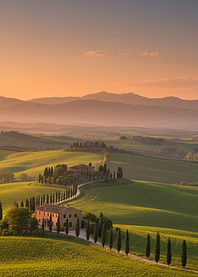 Tuscan Landscape with Cypress Trees