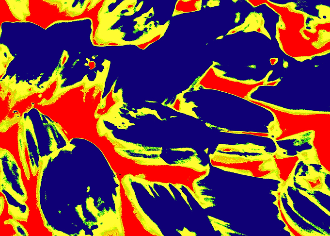 Abstract Red, Yellow, and Blue Pattern