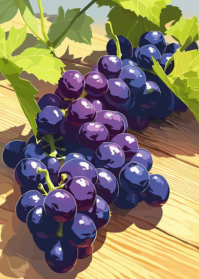 Illustration of Purple Grapes on Wooden Table