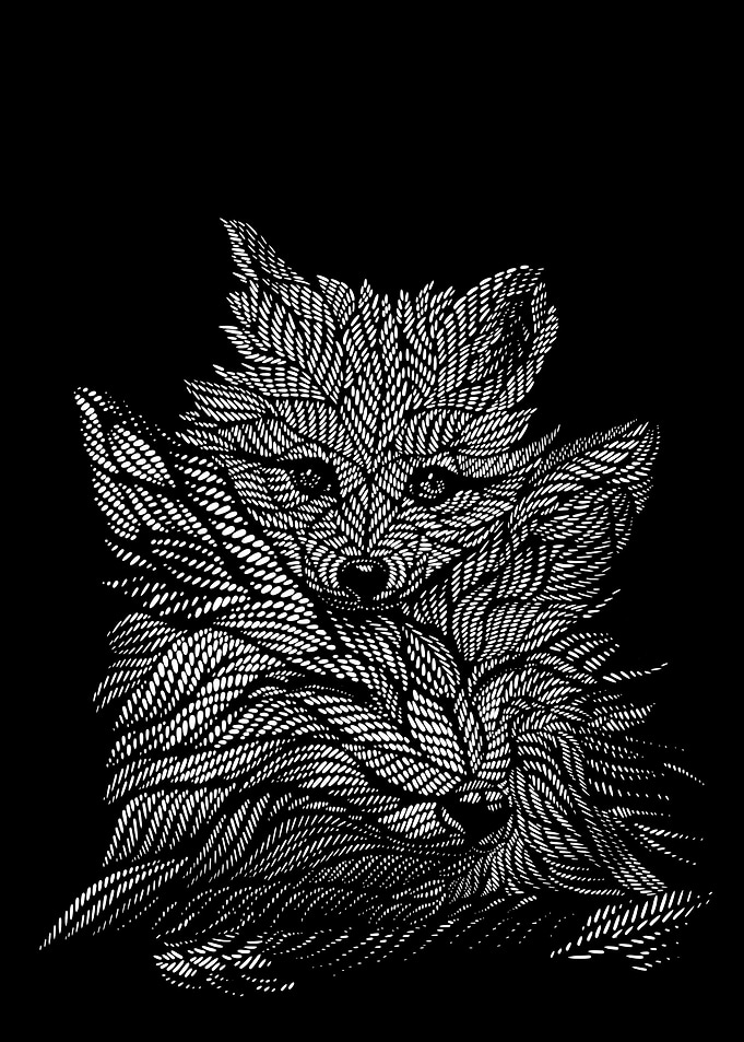 Abstract Fox Duo in Black and White