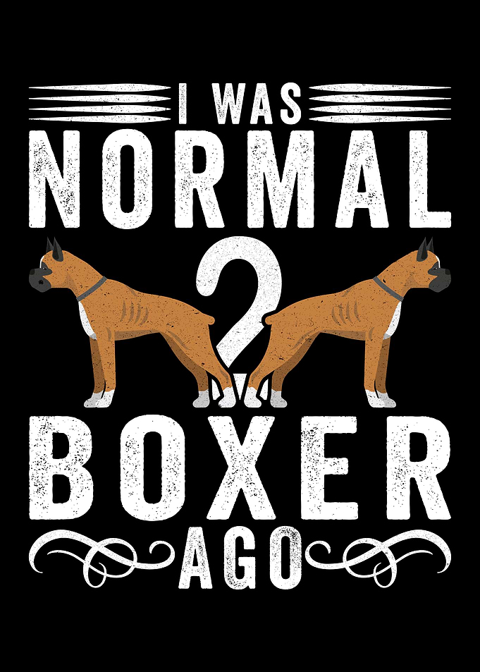 I Was Normal 2 Boxers Ago