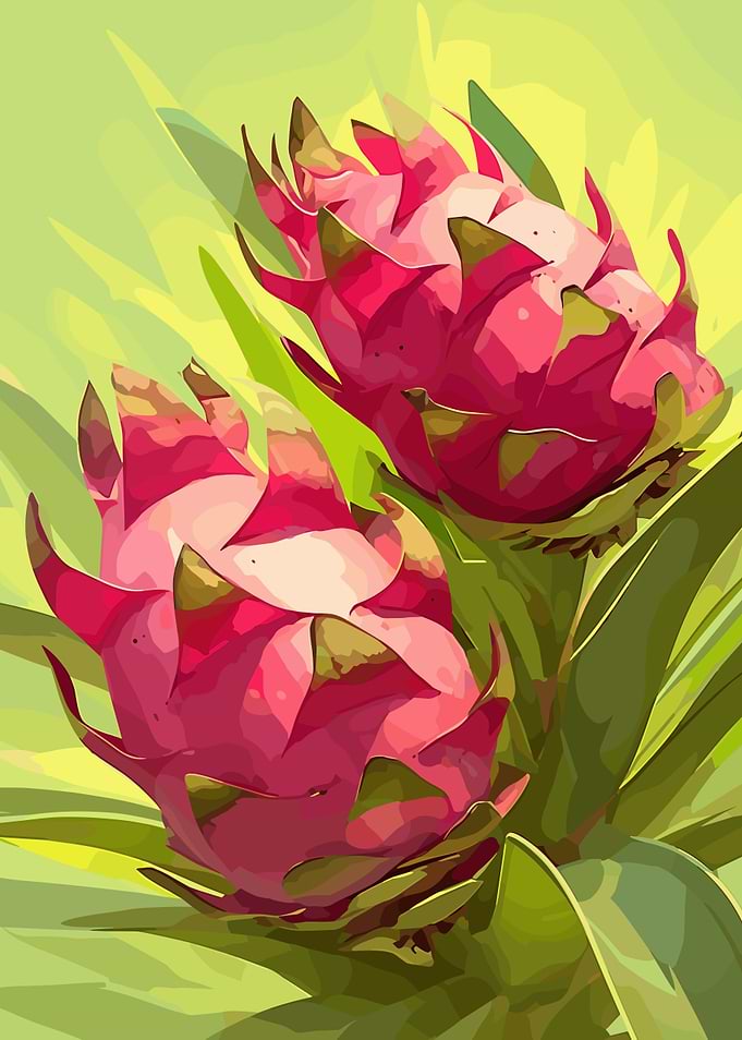 Dragon Fruit Still Life Painting