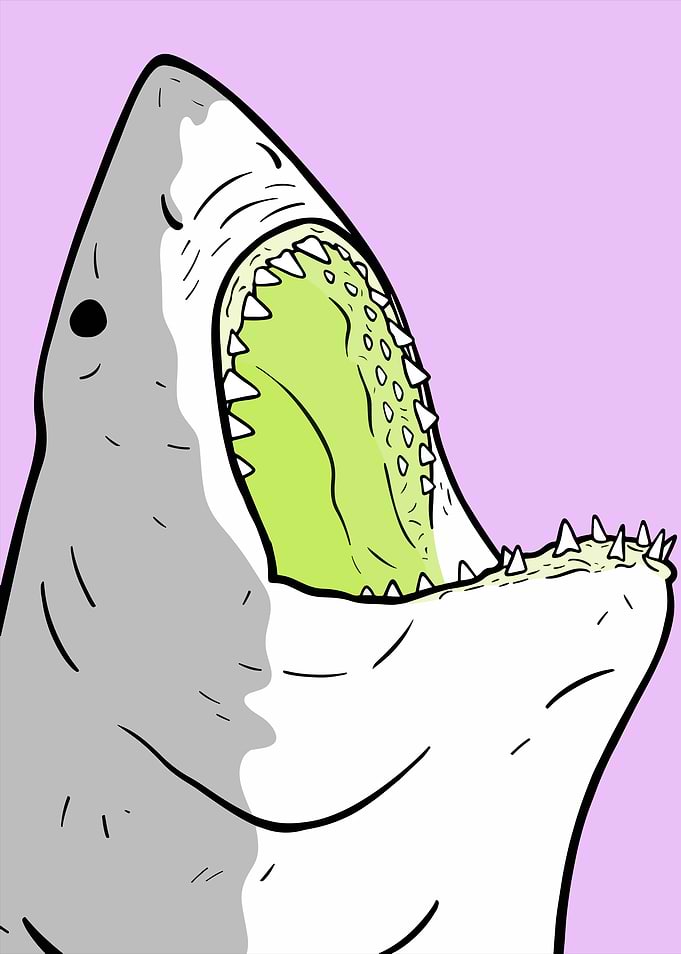 Cartoon Shark with Open Mouth